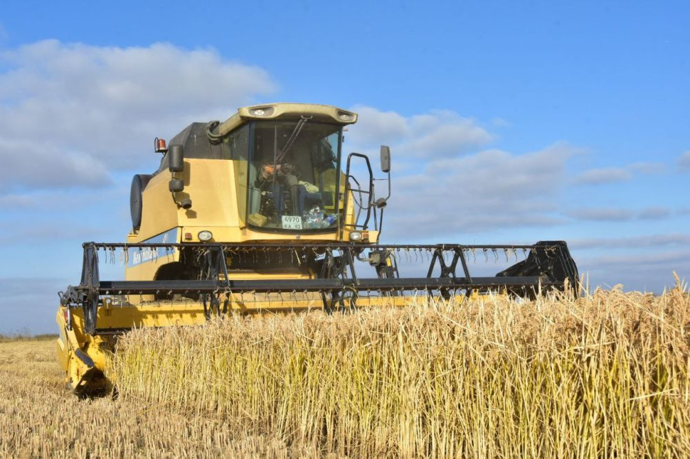 Крым: новости сельского хозяйства