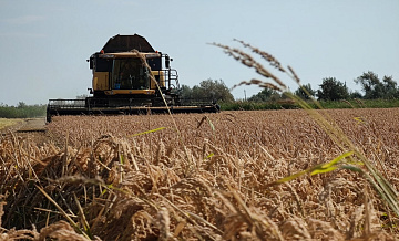 Крым: сельскохозяйственные новости